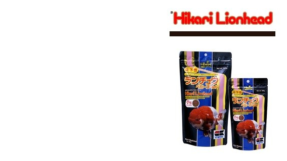 Alimento para goldfish lionhead, cabeza de leon, oranda, incrementa el wen/capucha del pez